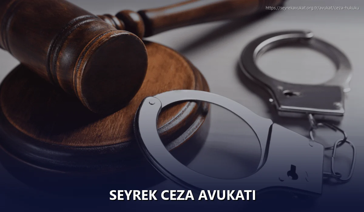Seyrek Ceza Avukatı