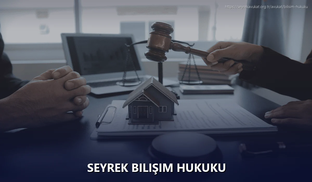 Seyrek Bilişim Hukuku