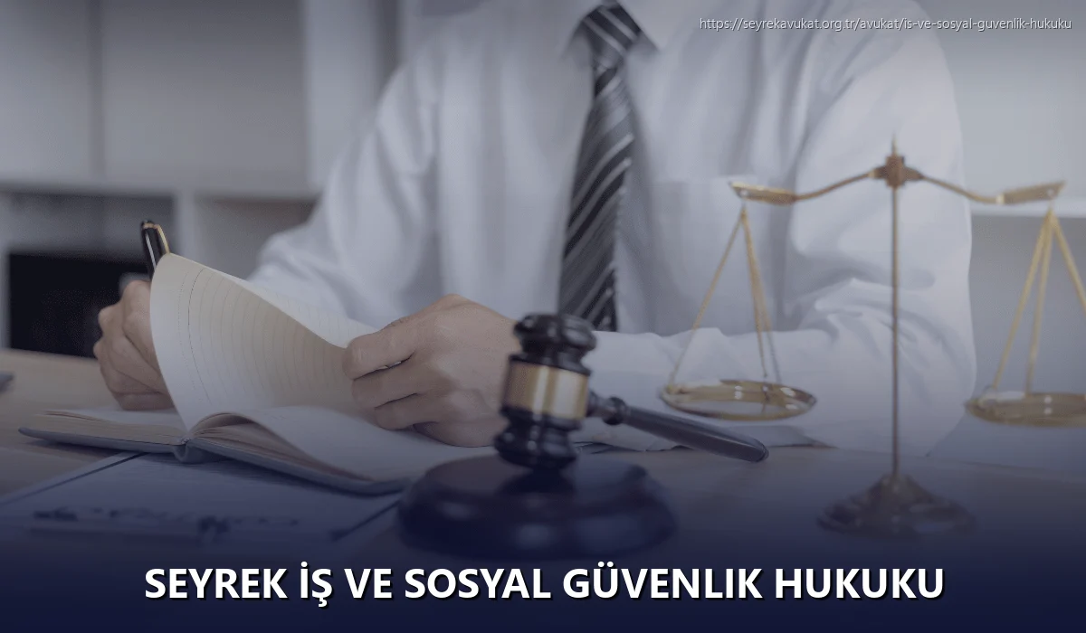 Seyrek İş ve Sosyal Güvenlik Hukuku