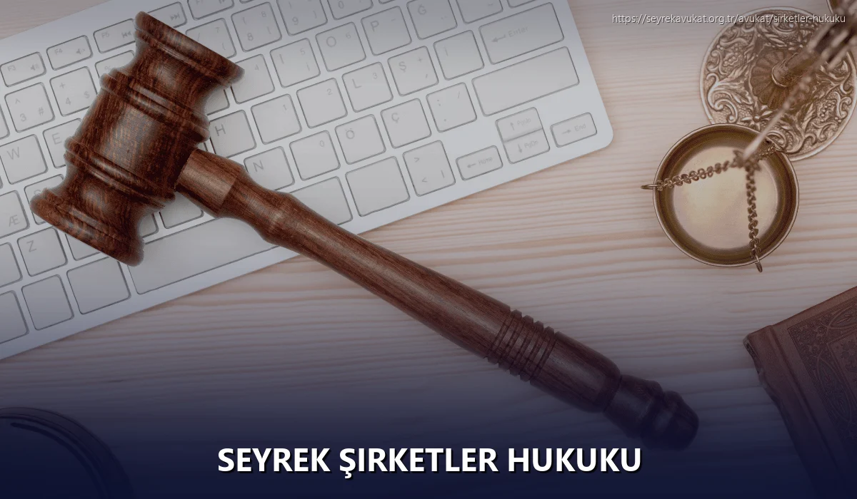 Seyrek Şirketler Hukuku