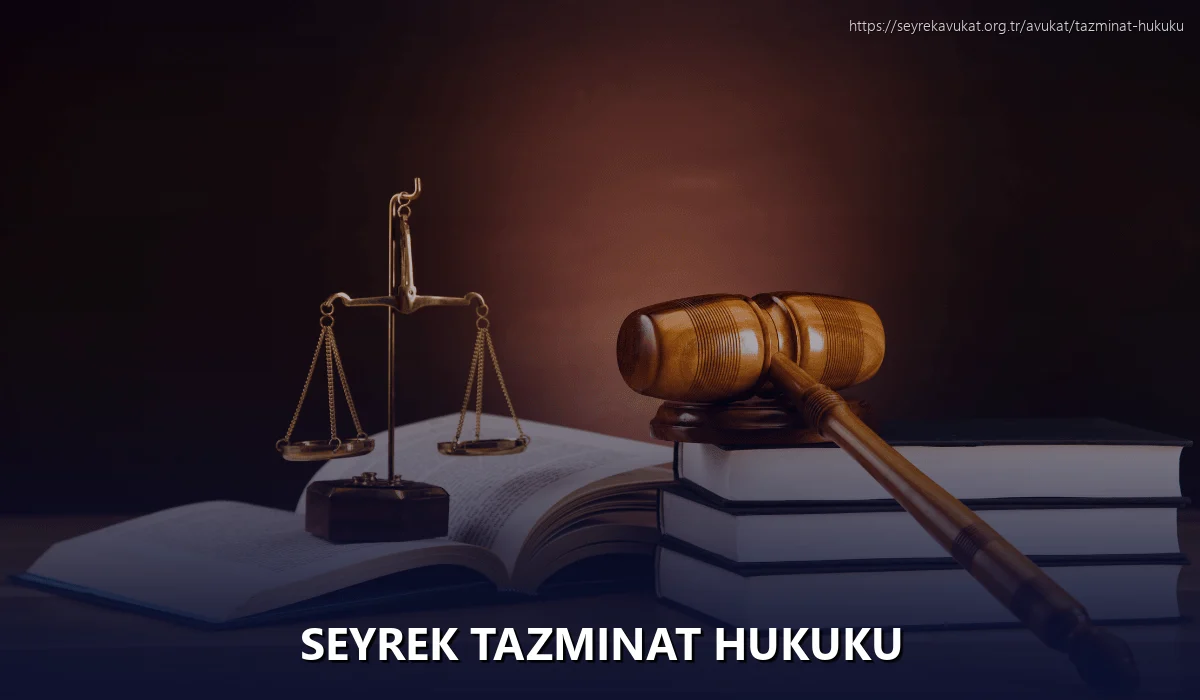 Seyrek Tazminat Hukuku